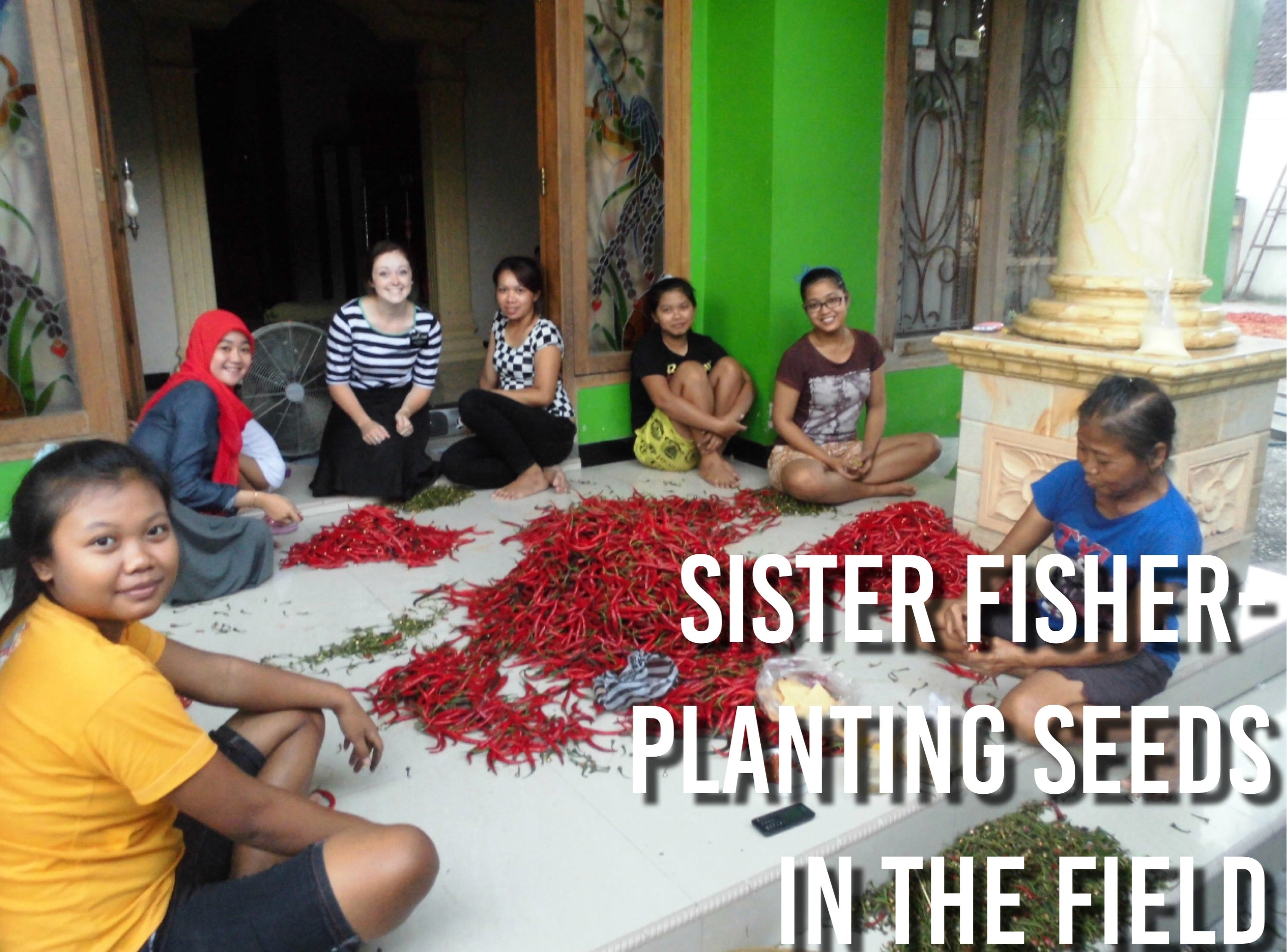 Sister Fisher- Planting Seeds in the Field