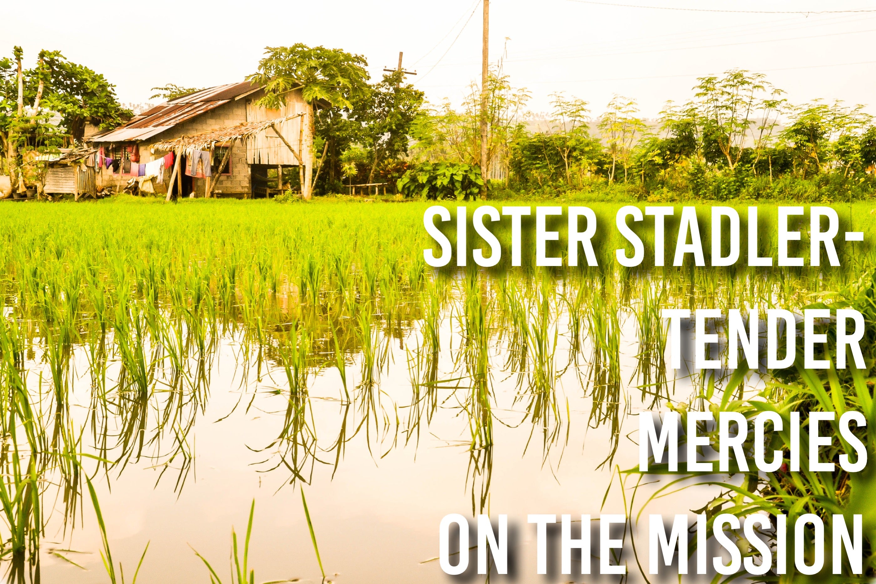 Sister Stadler- Tender Mercies